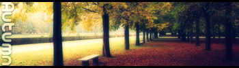 Autumn