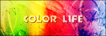 Color
