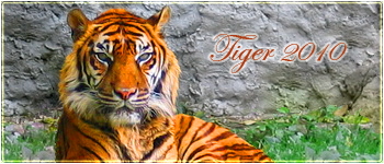 Tiger 2010