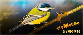 TiTmouSe