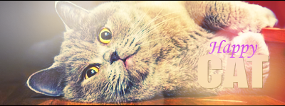 Happy Cat