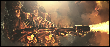 Call of Duty World at War