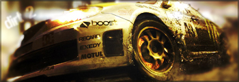 Dirt 2