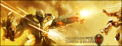 SECTION 8