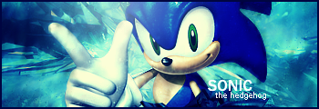 Sonic the hedgehog
