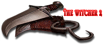 wait_the_witcher_2