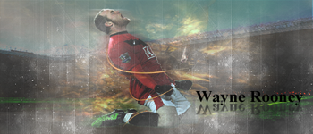 Rooney V.2