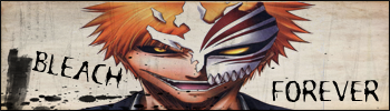 Bleach Forever 2