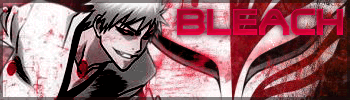 Bleach