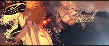 Bleach