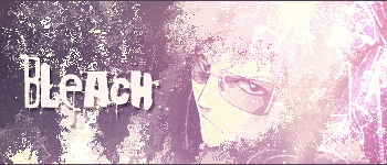 Bleach