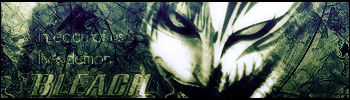 Bleach