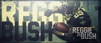 Reggie Bush