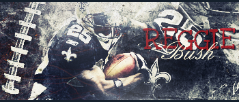 Reggie bush