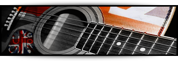 Guitar