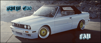BMW E30 FAN